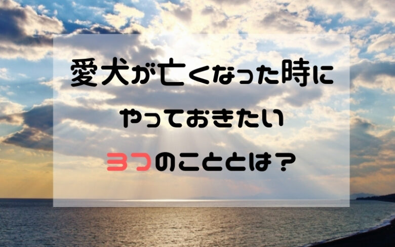 愛犬が亡くなった時にやっておきたい3つのこととは?