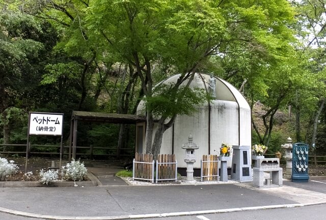ペット霊園を選ぶための4つのポイントとは?