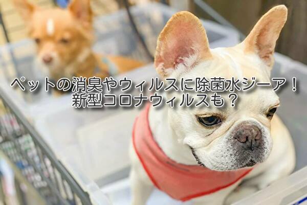 ペットの消臭やウィルスに除菌水ジーア!新型コロナウィルスも?