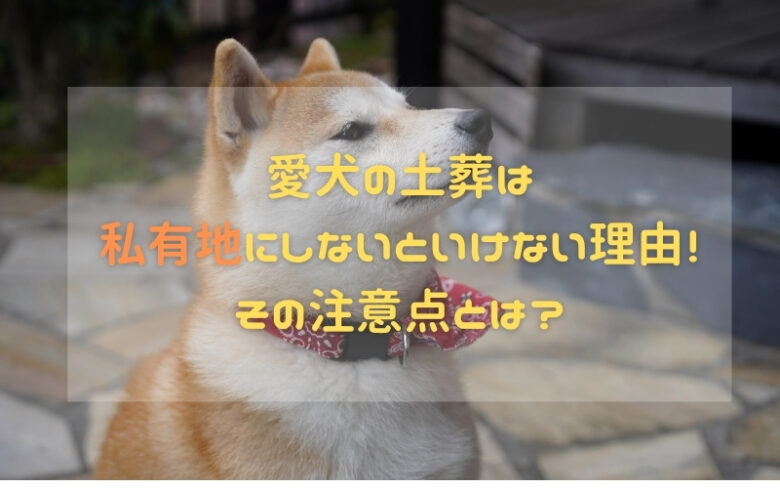愛犬の土葬は私有地にしないといけない理由!その注意点とは?