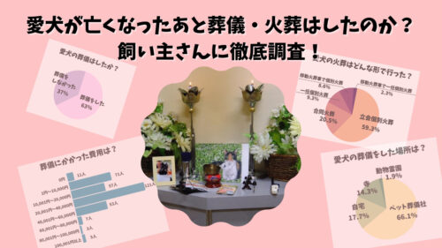 愛犬が亡くなったあと葬儀・火葬はしたのか？飼い主さんに徹底調査！