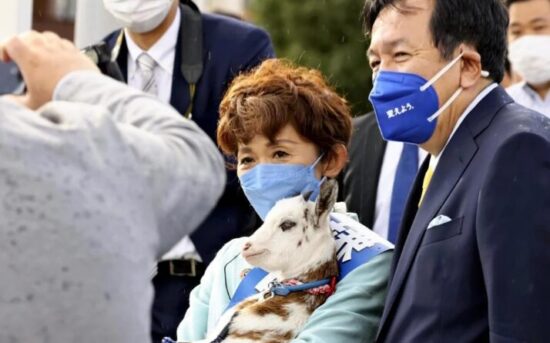 鎌田さゆりヤギ2