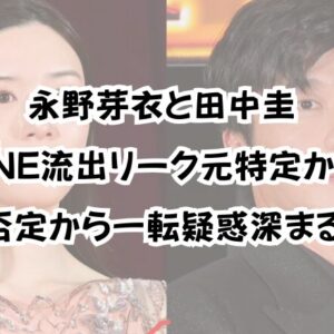 永野芽衣と田中圭LINE流出リーク元特定か！否定から一転疑惑深まる