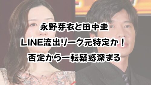 永野芽衣と田中圭LINE流出リーク元特定か！否定から一転疑惑深まる