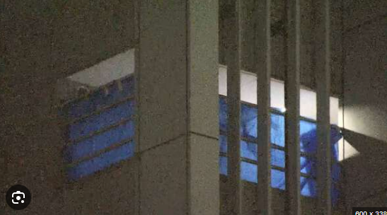 岡本容疑者自宅マンション