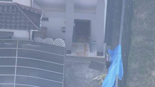 椋本舞子殺害